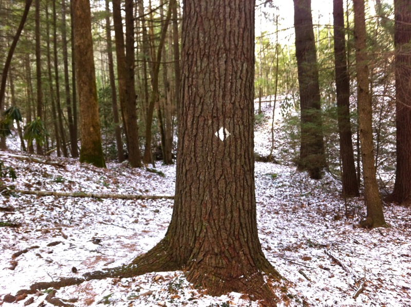 Red River Gorge - 21